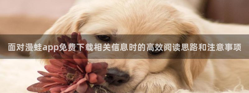 免费漫画在线阅读
